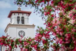 University Hall Clocktower in Spring