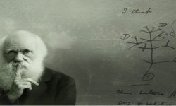 Charles Darwin thinking