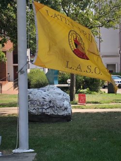 Photo of LASO Flag