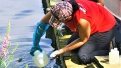 Alessandra Rossi collecting water sample