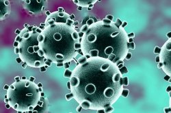 Coronavirus cell image