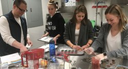 Feature image for Nutrition and Food Science Graduate Students Named Finalists in Prestigious Product Development Competition