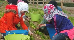 Feature image for Public Health Students Visit City Green in Clifton, NJ