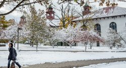 Feature image for "Snow Day" Survival