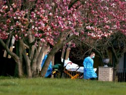 A person leaves the facility is placed in an ambulance at the Andover Subacute and Rehabilitation Center on April 16. Police said 17 bodies were stored in a room at the nursing home in Andover.Ed Murray | NJ Advance Media