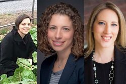 Photo collage of the 2019-2020 Ada Beth Cutler Fellows