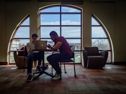 Two students studying together.