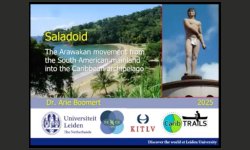 Saladoid: The Arawakan movement from the South American mainland into the Caribbean archipelago
