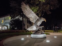 hawk statue at night