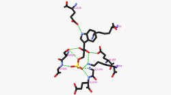 IGPS protein interaction