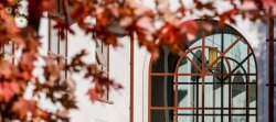 Photo of Schmitt Hall Arched Window in Fall