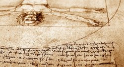 detail of Da Vinci's Vetruvian Man