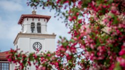 photo of University Hall bell tower in background with pink flowering tree blurred in the foreground