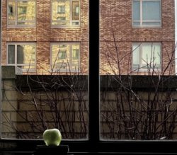 Green apple on window sill