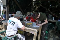 Students drawing fresco fragments uncovered at the Villa of the Antonines site.