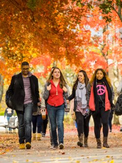 students walking under fall folliage
