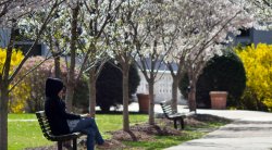 Picture of student sitting on a bench on campus.