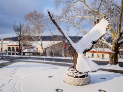 Hawk statue covered in snow on a sunny day