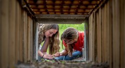 Feature image for On a Rescue Mission - Biology students partner with NJDEP to save turtles