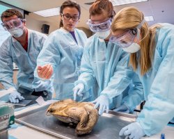 students working in aquatic biology lab