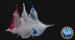 Feature image for Apply to be a CMS Scholar