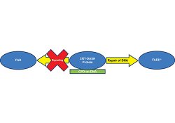 Feature image for Professor's research featured in Biochemistry Magazine