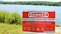 Sign posted along Greenwood Lake warning of dangerous algae bloom