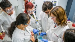 students observing sample in research lab