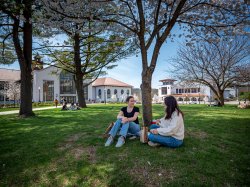 two students sitting under a tree on the Montclair campus