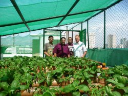 Montclair State University professor Dr. Robert Taylor and colleagues from De LaSalle University, Manila, Philippines, inside an urban rooftop hydroponics project. Urban rooftop agriculture is being explored in Manila and other cities as a means of reducing food transportation distances and costs and hence a cityâ€™s carbon footprint. Greenhouse gas emissions and energy costs are also reduced by using solar panels to power water pumps and aerators.
