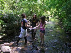 Students conducting research in river