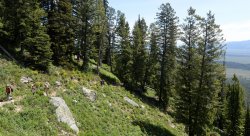 field geology in Grand Teton