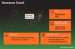 Gowanus Canal infographic