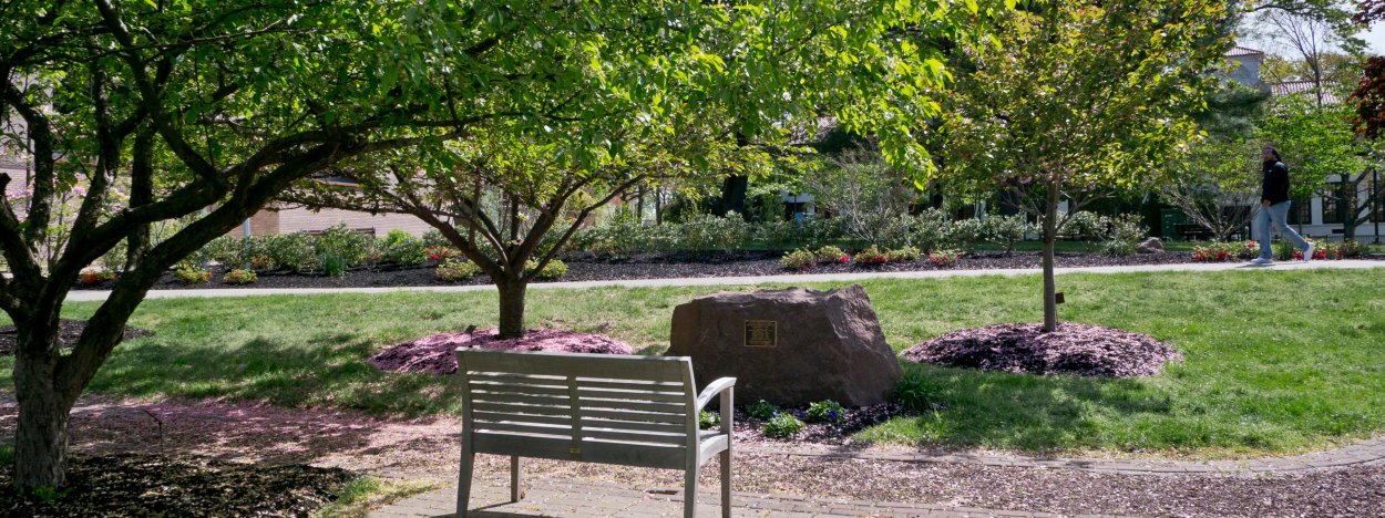 Contact English Montclair State University