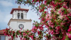 University Hall Bell Tower in background with pink blooming trees in foreground
