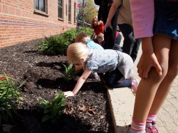Bradford students on Earth Day