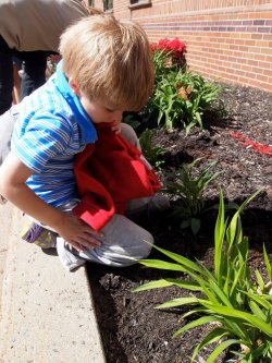 Bradford students planting on Earth Day