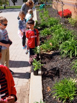 Bradford students on Earth Day