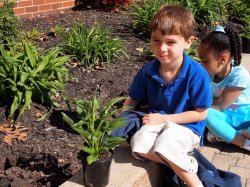 Bradford students on Earth Day