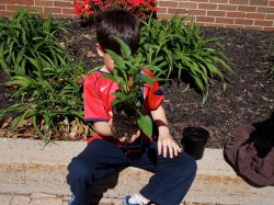 Bradford students on Earth Day