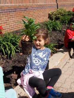 Bradford students on Earth Day