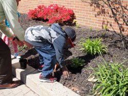 Bradford students on Earth Day