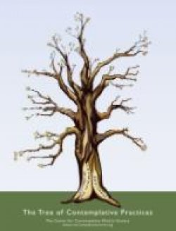 Tree of Contemplative Pedagogy