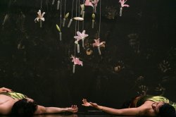 Installation image of live performance titled To Move Is To Remember by artist Joseph Liatela. Pink lilies cascade from the top of the image, dangling above two people lying on the floor at the bottom of the image. These two people are holding hands, and both wear bright green short sleeve shirts. The background is black and stained with gold pigmented fingerprints.