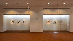 Installation view of the exhibition Case Studies 1: Damien Davis - OLD CURRIENCIES in the Kasser Theater Lobby. Various works are displayed in glass cases.