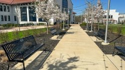 Photo of walkway lined with benches