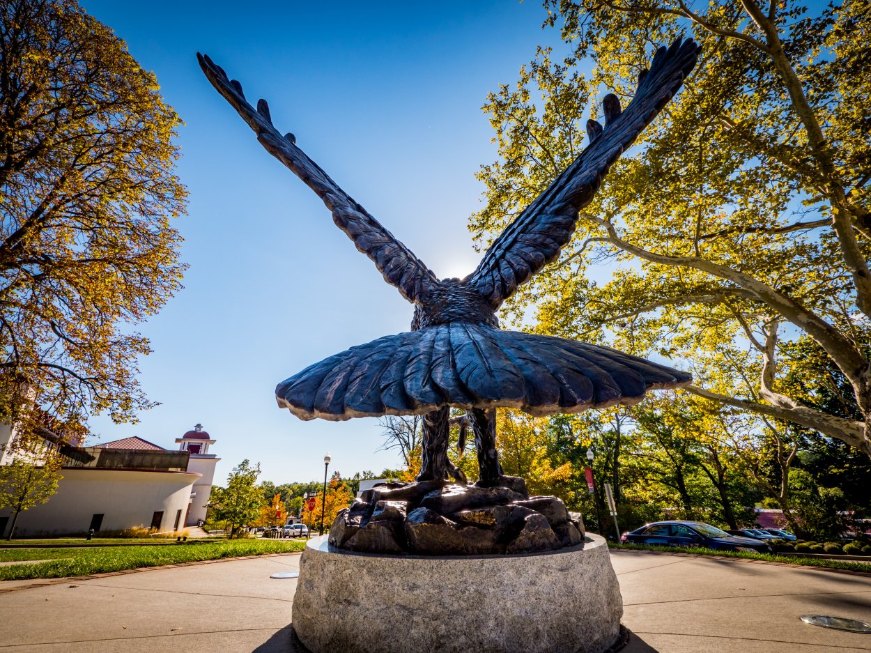 Prospective International Students â Office Of Global Engagement - Montclair State University