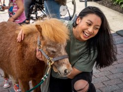 Student with a mini horse