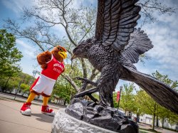 Photo of Rocky with the hawk statue