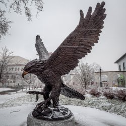 hawk campus statue